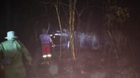 IMG-20260807-WA0001